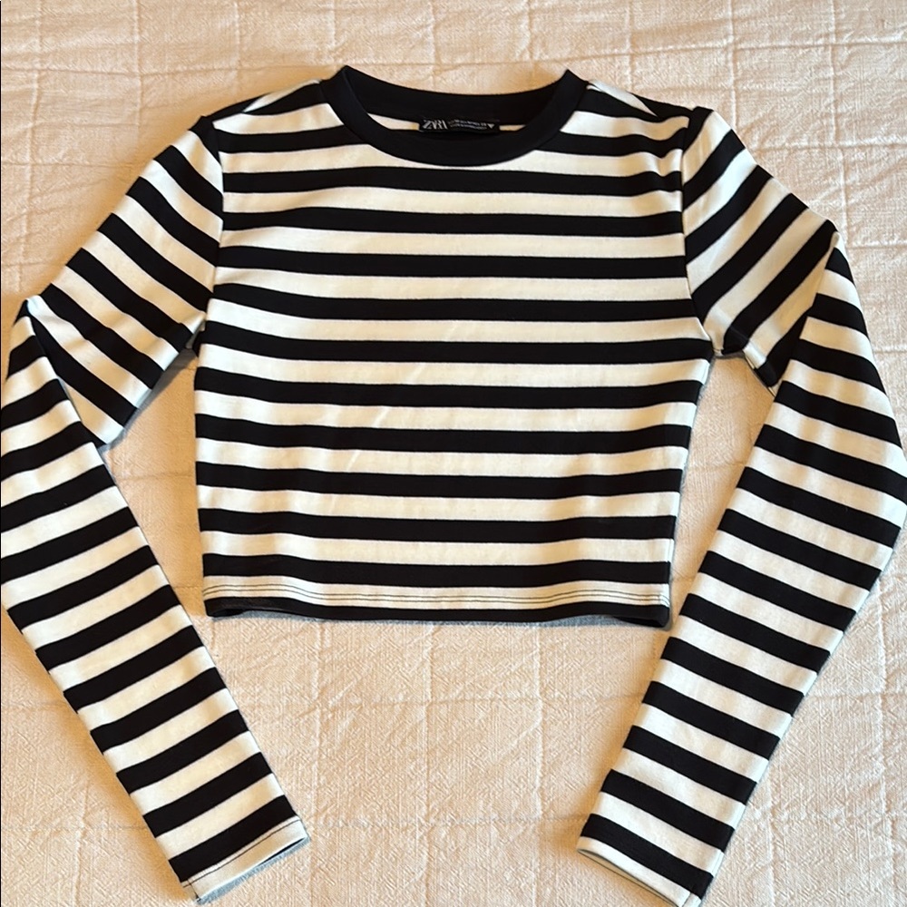 Zara Black and White Striped Crop Top